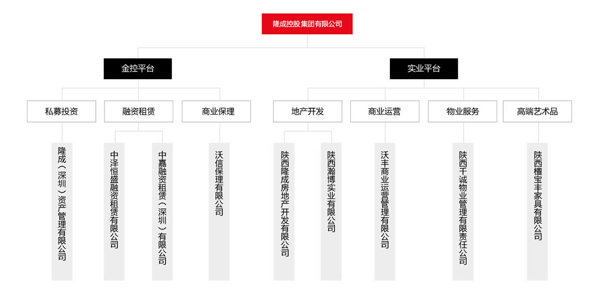 汇高OA系统陕西区为隆成控股集团公司进行管理升级！