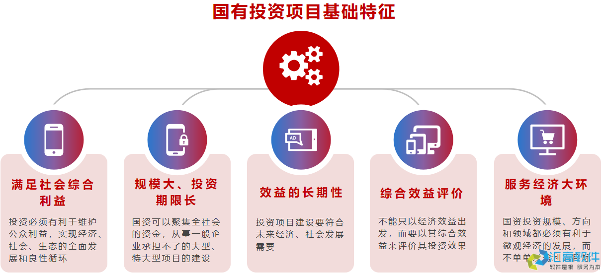国资投资项目管理概述 国资投资项目管理概述